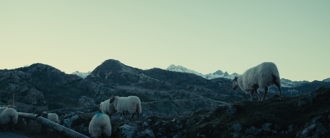 Сколько по времени идет лед 3?